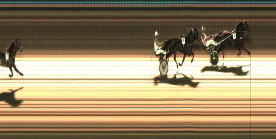 Målfoto for løp 5 på bane JA den 14.11.2021