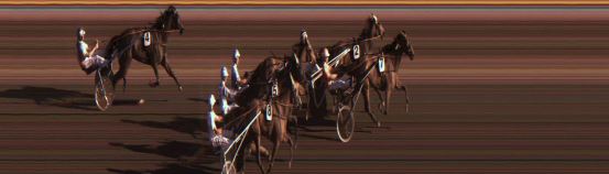 Målfoto for løp 5 på bane JA den 31.05.2024