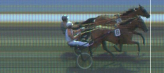 Målfoto for løp 5 på bane KL den 15.08.2019