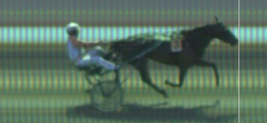 Målfoto for løp 7 på bane KL den 15.08.2019