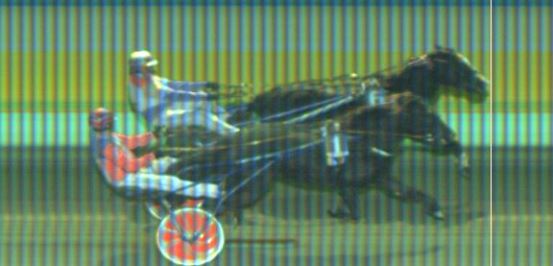 Målfoto for løp 6 på bane KL den 31.10.2019