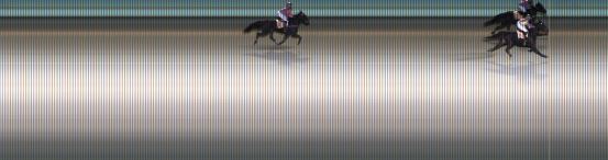 Målfoto for løp 7 på bane KL den 07.11.2019