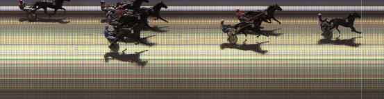 Målfoto for løp 4 på bane KL den 03.09.2020