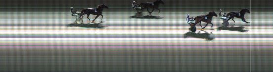 Målfoto for løp 2 på bane KL den 12.11.2020