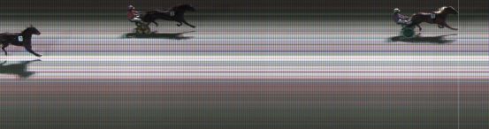 Målfoto for løp 5 på bane KL den 12.11.2020