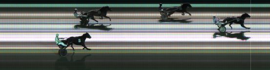 Målfoto for løp 5 på bane KL den 21.11.2020