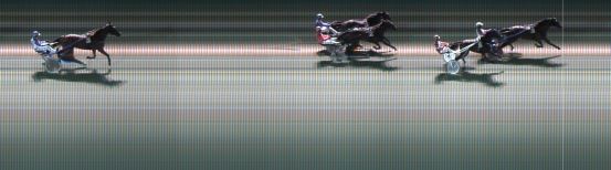 Målfoto for løp 8 på bane KL den 14.10.2021