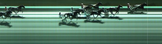 Målfoto for løp 8 på bane KL den 06.11.2021