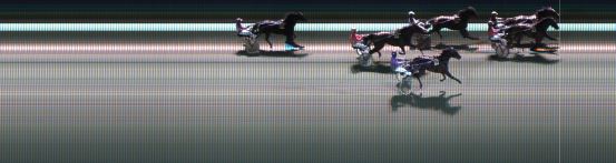 Målfoto for løp 7 på bane KL den 22.11.2021