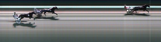 Målfoto for løp 8 på bane KL den 22.11.2021