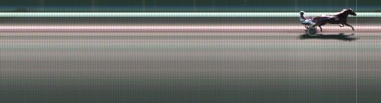 Målfoto for løp 10 på bane KL den 16.11.2023