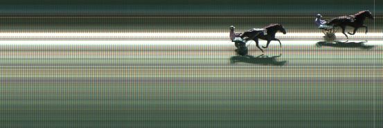 Målfoto for løp 8 på bane KL den 09.11.2024