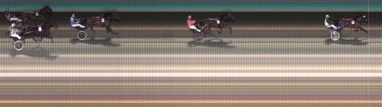 Målfoto for løp 8 på bane KL den 01.12.2024