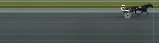 Målfoto for løp 10 på bane HA den 15.07.2017