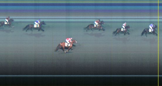 Målfoto for løp 8 på bane LE den 24.02.2014