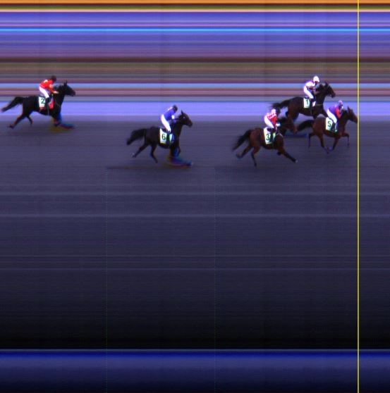 Målfoto for løp 1 på bane LE den 29.11.2014