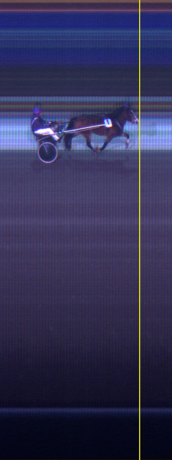 Målfoto for løp 20 på bane LE den 08.12.2014