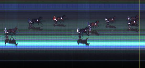 Målfoto for løp 6 på bane LE den 29.12.2014