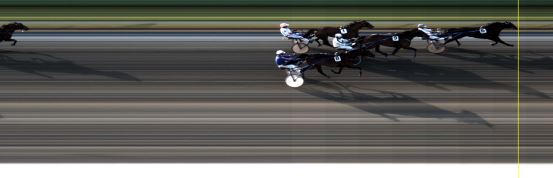 Målfoto for løp 5 på bane LE den 08.06.2015