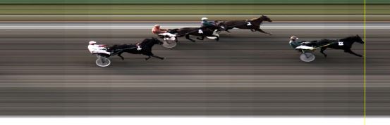 Målfoto for løp 6 på bane LE den 08.06.2015