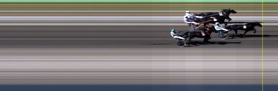 Målfoto for løp 8 på bane LE den 28.06.2015