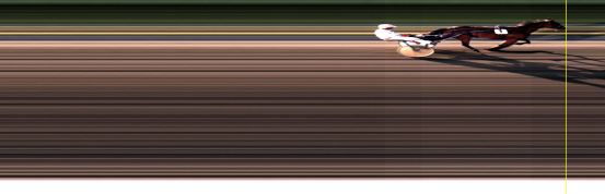 Målfoto for løp 20 på bane LE den 05.07.2015