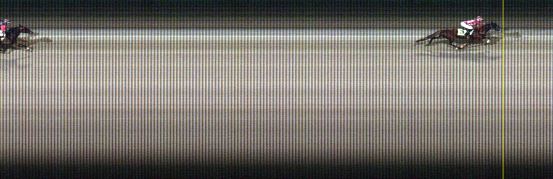 Målfoto for løp 5 på bane LE den 04.01.2016