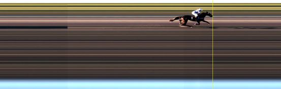 Målfoto for løp 22 på bane LE den 03.10.2016