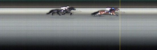 Målfoto for løp 8 på bane LE den 20.11.2016