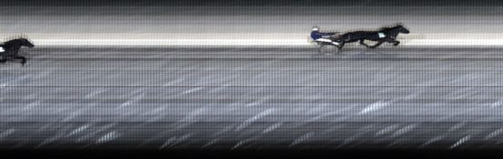 Målfoto for løp 4 på bane LE den 26.12.2016