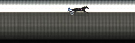 Målfoto for løp 20 på bane LE den 02.01.2017