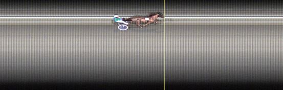 Målfoto for løp 1 på bane LE den 06.02.2017