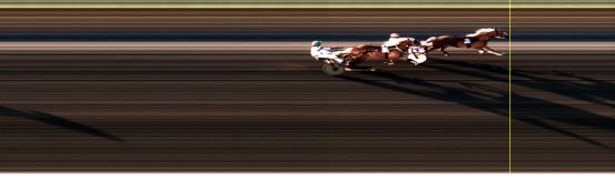 Målfoto for løp 8 på bane LE den 01.05.2017