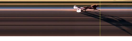 Målfoto for løp 10 på bane LE den 15.05.2017