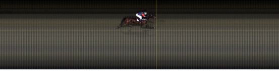 Målfoto for løp 7 på bane LE den 06.11.2017