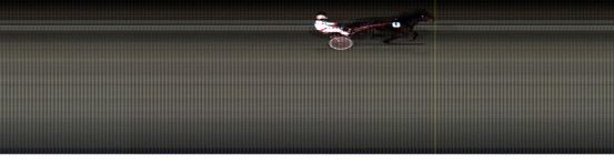 Målfoto for løp 20 på bane LE den 20.11.2017