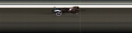 Målfoto for løp 5 på bane LE den 01.01.2018