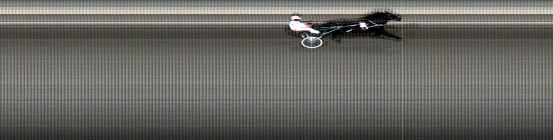 Målfoto for løp 8 på bane LE den 15.01.2018