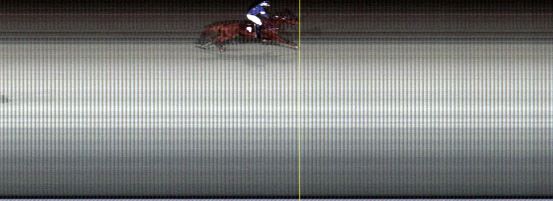 Målfoto for løp 4 på bane LE den 25.02.2019