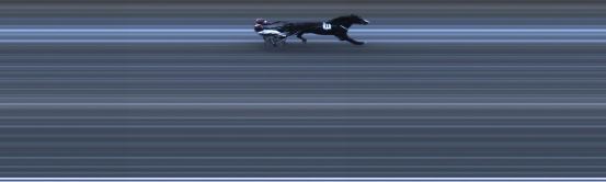 Målfoto for løp 5 på bane LE den 18.05.2020