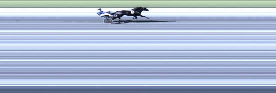 Målfoto for løp 1 på bane LE den 10.06.2020