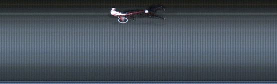 Målfoto for løp 8 på bane LE den 09.11.2020