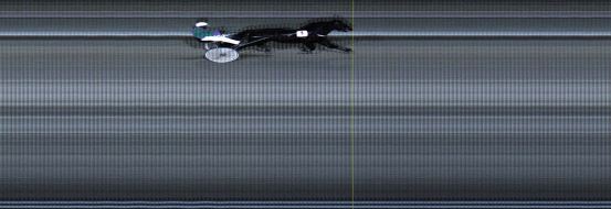 Målfoto for løp 20 på bane LE den 04.01.2021