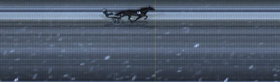 Målfoto for løp 5 på bane LE den 03.01.2022