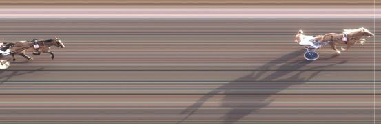 Målfoto for løp 8 på bane MO den 24.06.2014