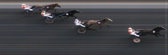 Målfoto for løp 8 på bane MO den 08.07.2014