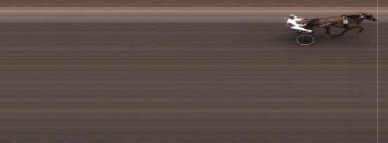 Målfoto for løp 8 på bane MO den 15.07.2014