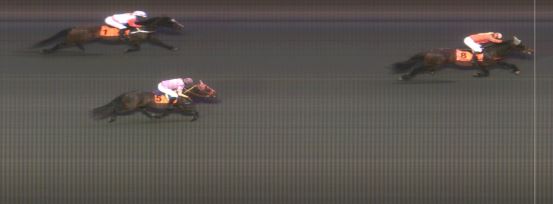 Målfoto for løp 8 på bane MO den 24.08.2014