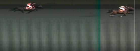 Målfoto for løp 8 på bane MO den 21.10.2014