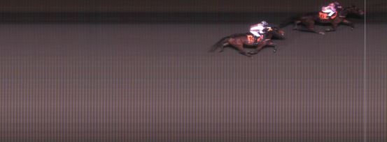 Målfoto for løp 8 på bane MO den 11.11.2014